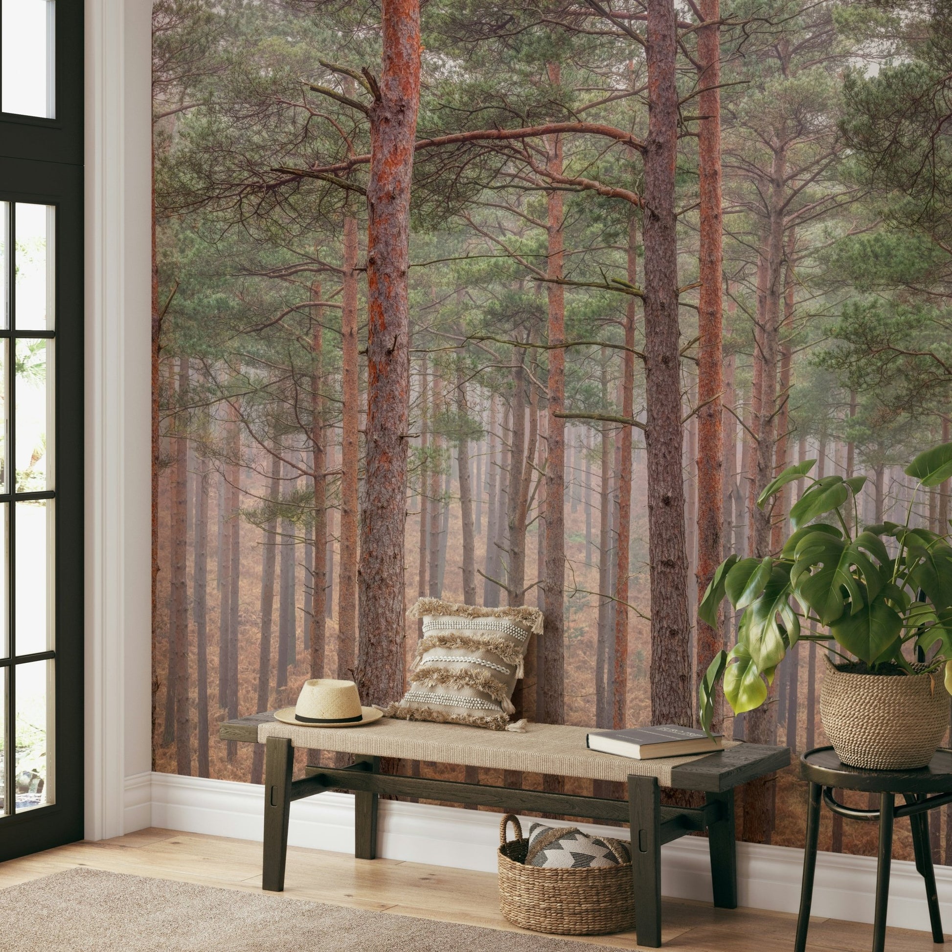 A close-up view of the detailed tree bark and soft light.

