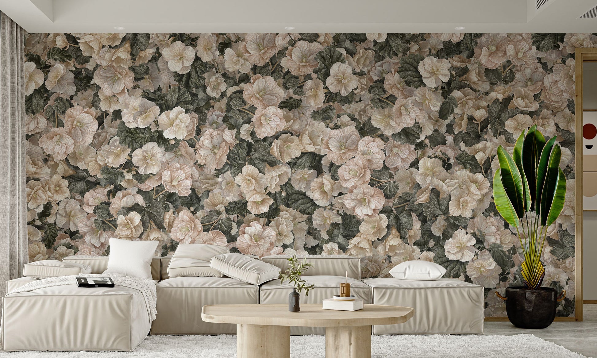 White begonia bloom wallpaper for rooms

