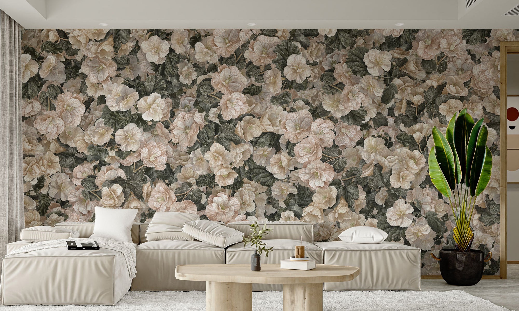 White begonia bloom wallpaper for rooms
