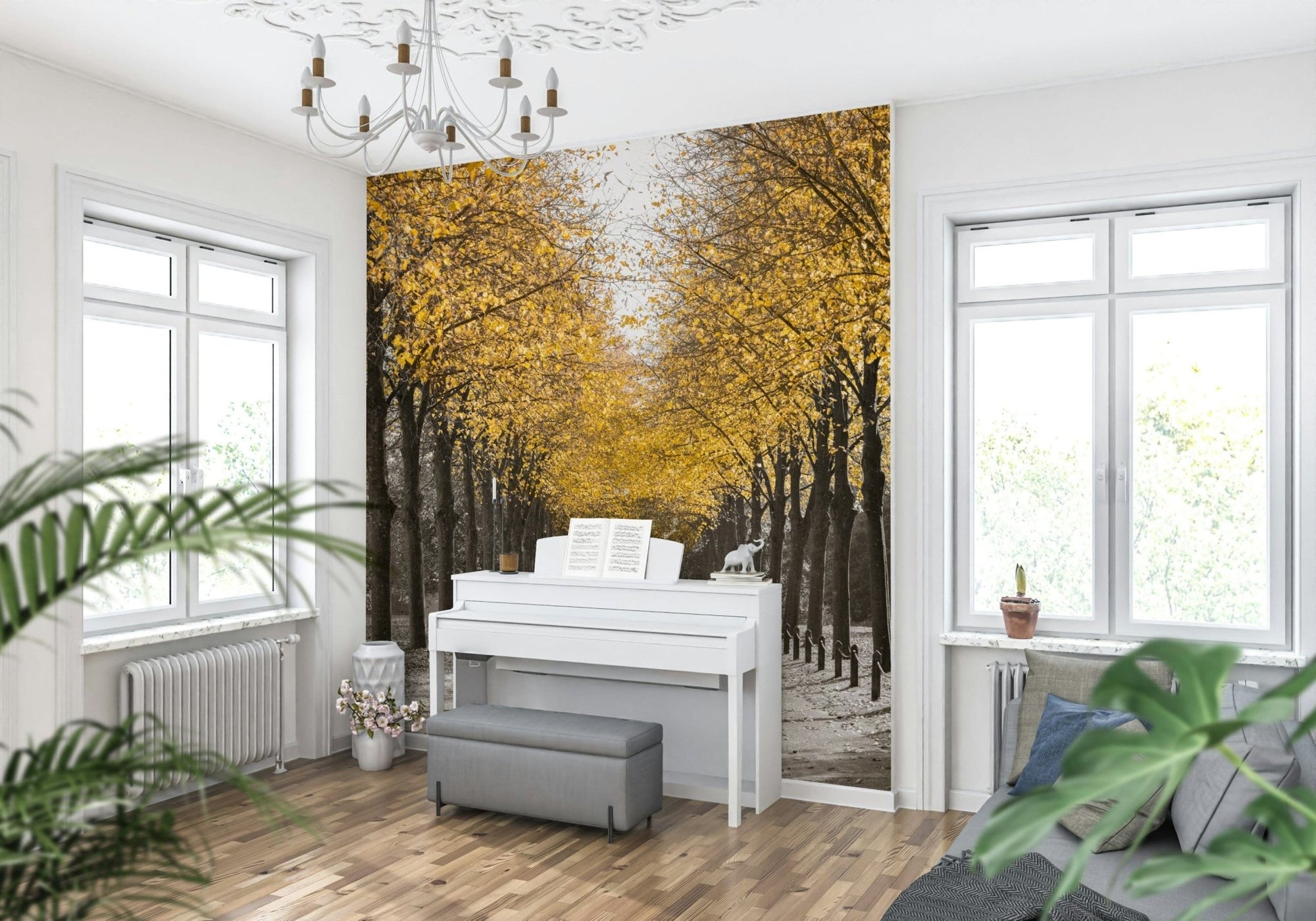 White Gold wallpaper mural of a golden autumn tree avenue behind a white upright piano in a bright music room