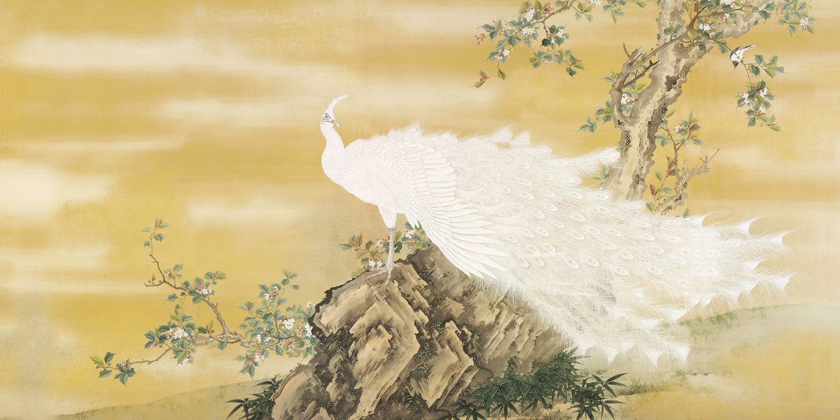 White Peafowl Sitting Rock Wallpaper Murals in your room — zoomed