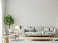 Textured wall mural with whitewashed plaster effect for minimalist, coastal, or Scandinavian décor.