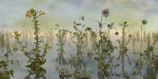 Wild Flowers green color nature wallpaper mural with large-scale petals and stems.