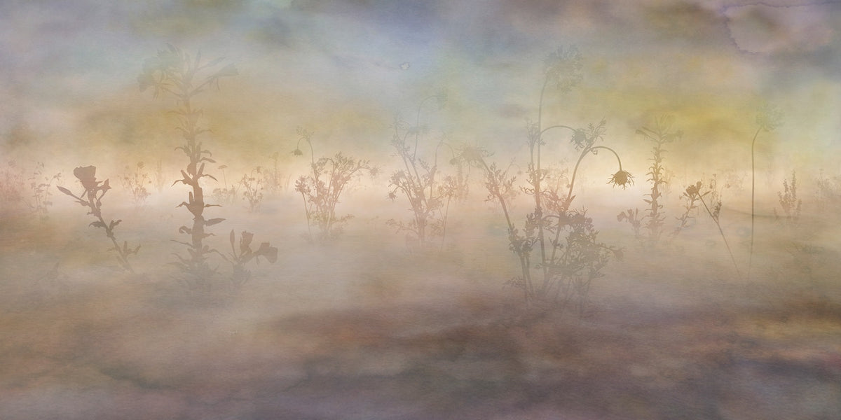 Wild Pastel Flowers Misty Nature Wallpaper Murals in your room — zoomed
