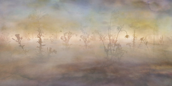 Wild Pastel Flowers Misty Nature wallpaper mural with soft-focus petals and green stems.