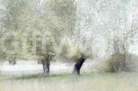 A high-quality serene leaf wall mural for walls.