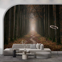 Misty forest way wall mural with tall trees and pathway