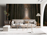 Scenic woodland wall mural with tall tree lines
