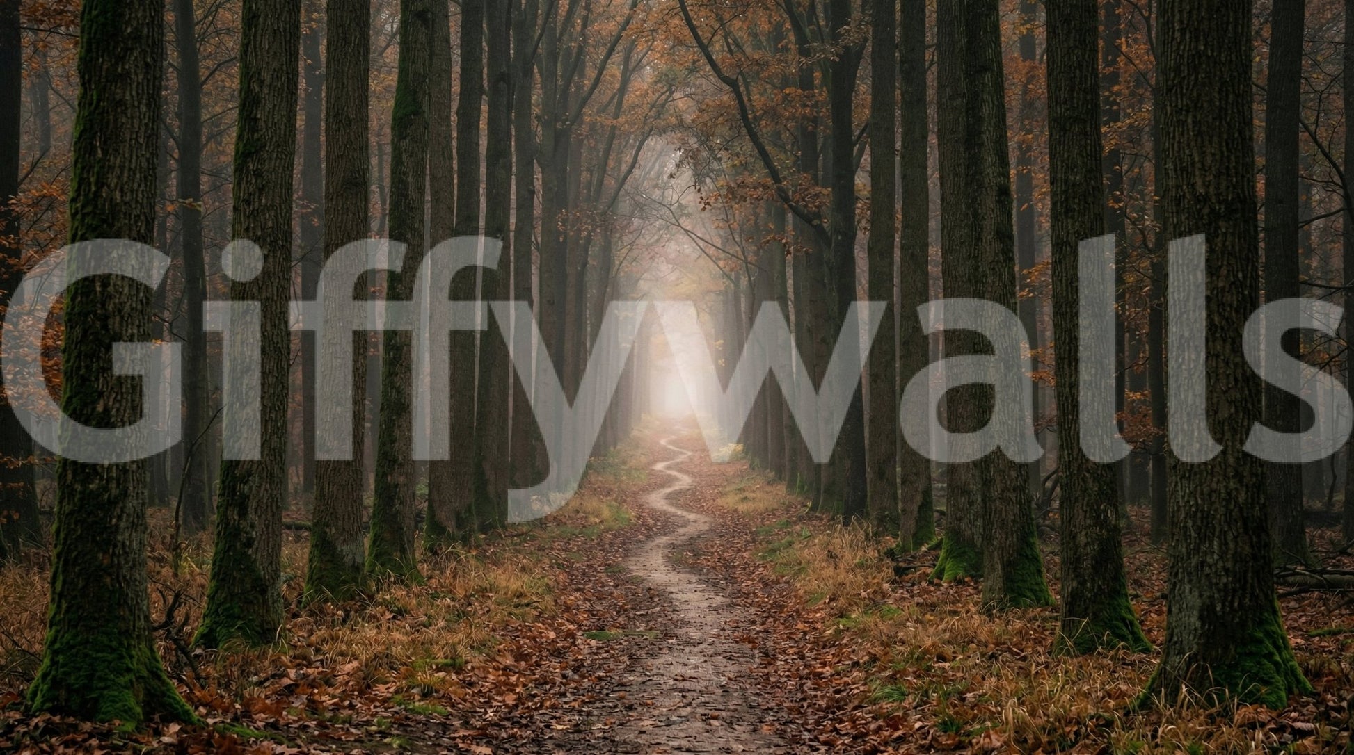 Office room woodland mural winding trail forest view