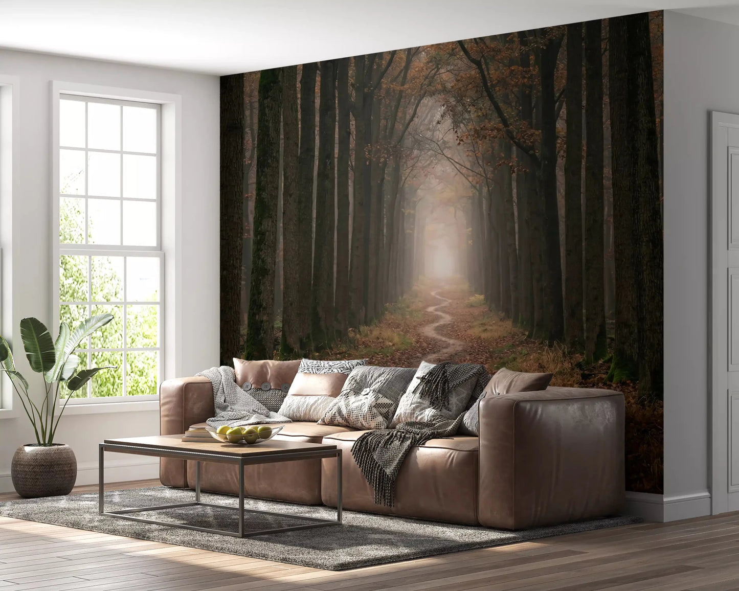 Hallway forest path wall mural trees way and fog view