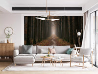 Forest woodland pathway wall mural with foggy depth effect
