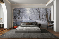 Wall mural of a snowy canal scene.

