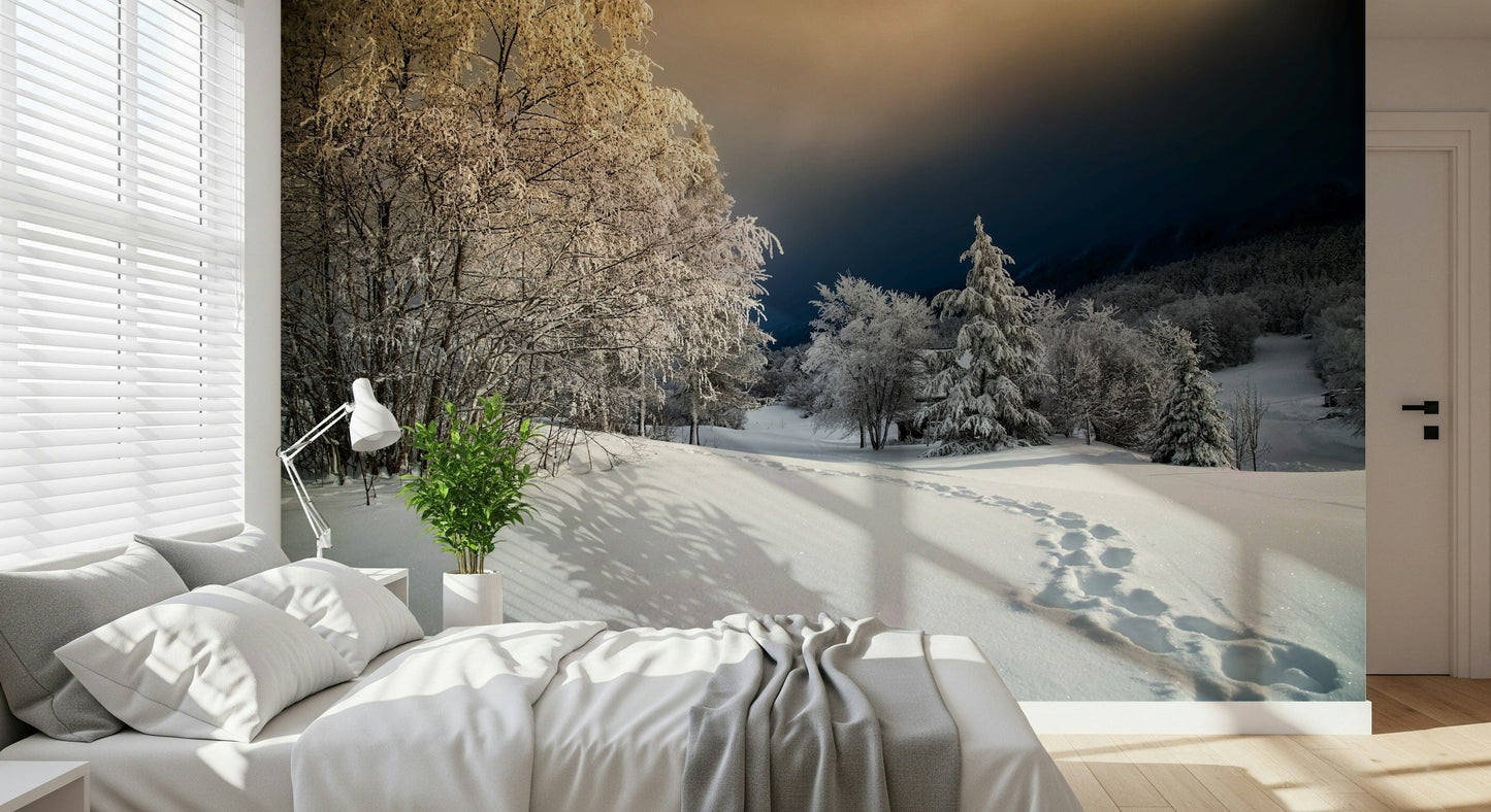 Majestic Frozen Footsteps wallpaper, peaceful cold landscape, serene pathway.