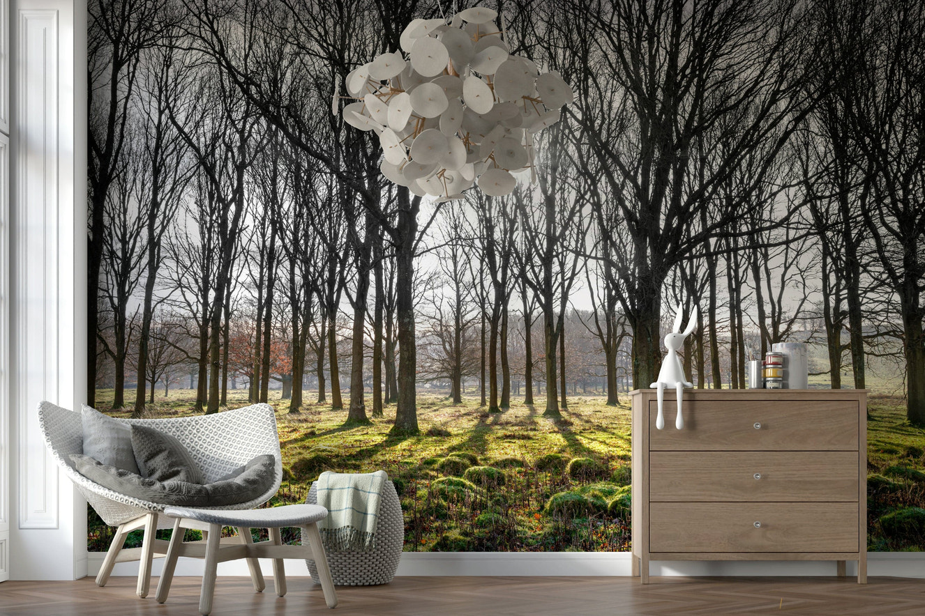 Wallpaper featuring a sunlit forest with tall bare trees casting long shadows over a mossy green ground.