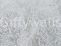 Breathtaking snowy forest wallpaper for walls, Canopy of ice, serene winter view.