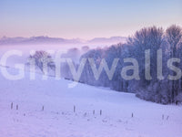 Winter Landscape wall mural bringing the beauty of snow indoors.


