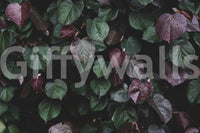 A detail of the warm tones in the leaves and sky.

