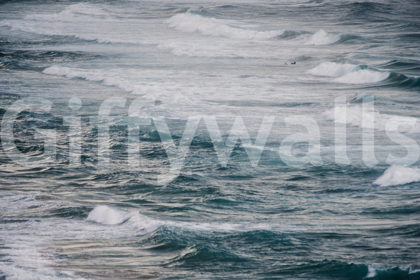 A detail of the dark tones in the water and shore.

