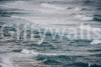 A detail of the dark tones in the water and shore.


