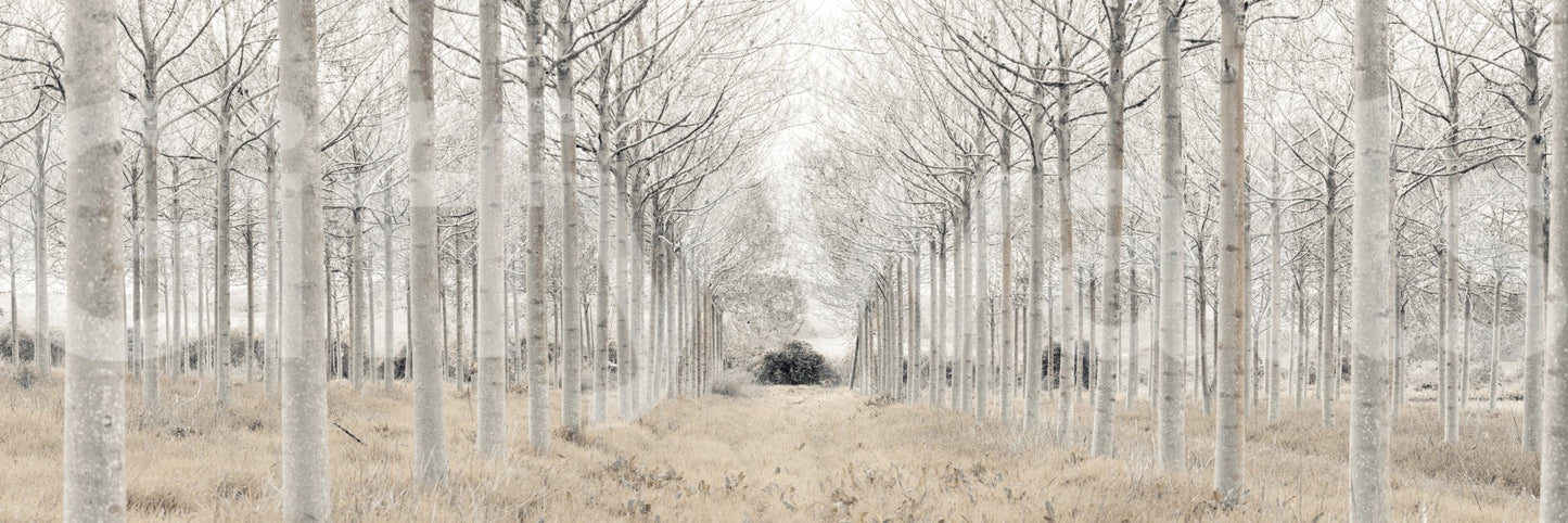 The composition is dynamic and full of depth.

