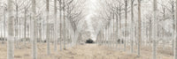 The composition is dynamic and full of depth.

