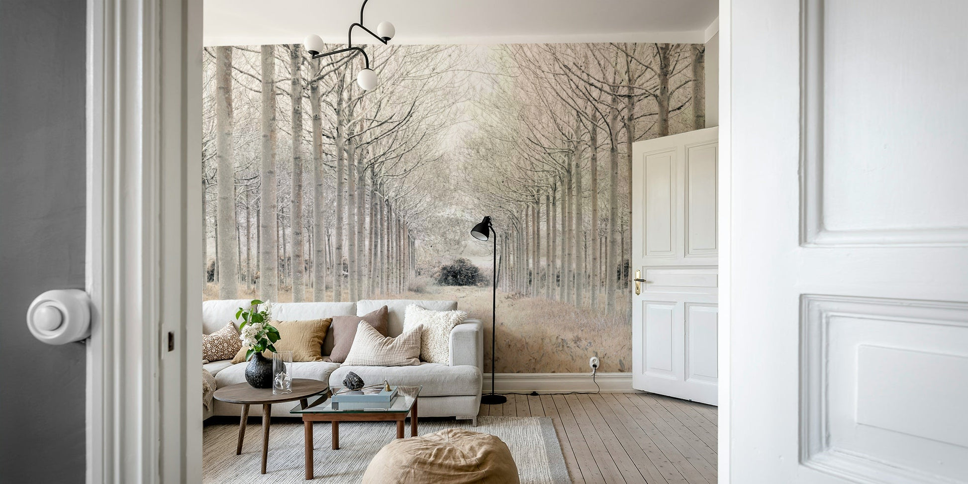 The image shows a path lined with bare trees.


