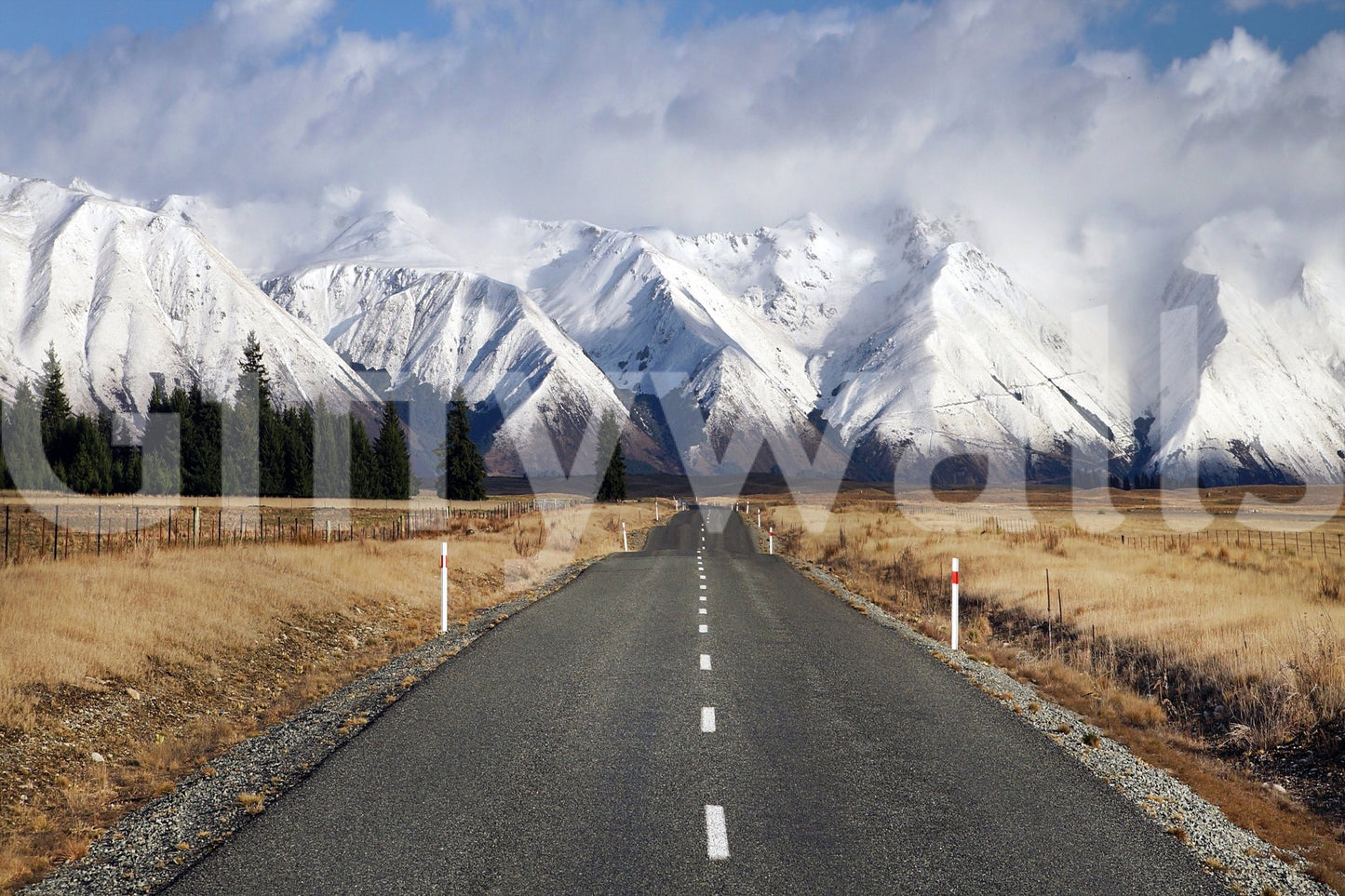 Snowy lane wallpaper mural in bedroom, soft winter light, calm wall decor