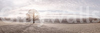 Modern apartment entry wall decor with winter haze mural, subtle color contrast
