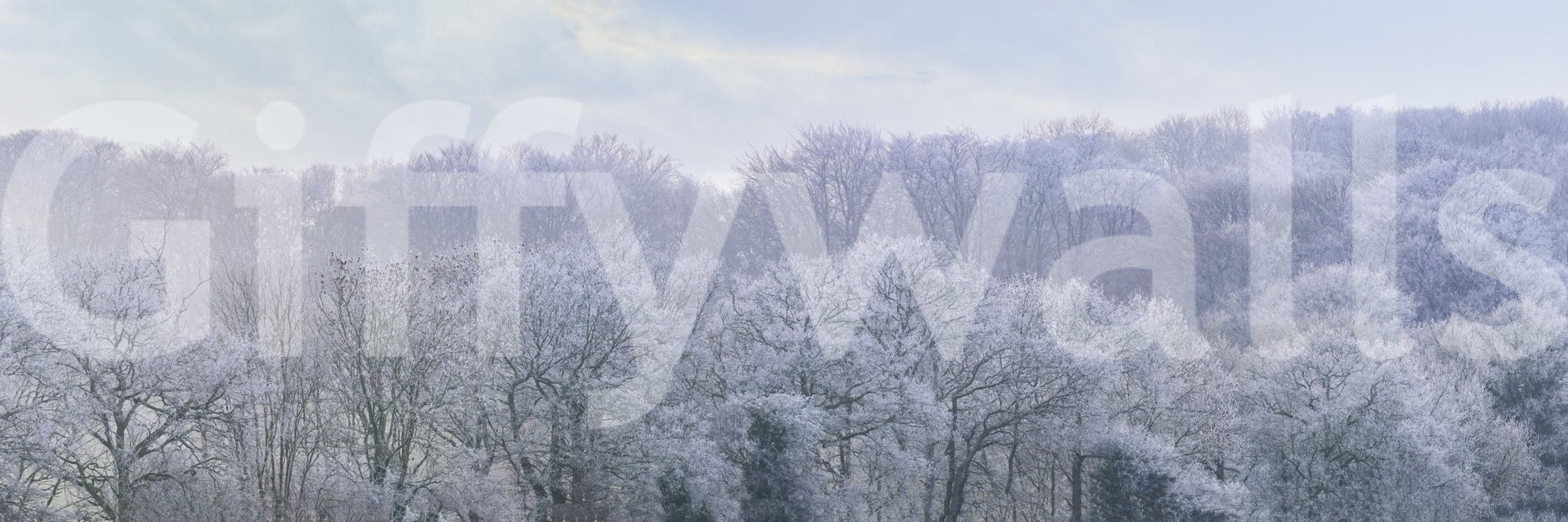 Winter's Whispers Wall Mural