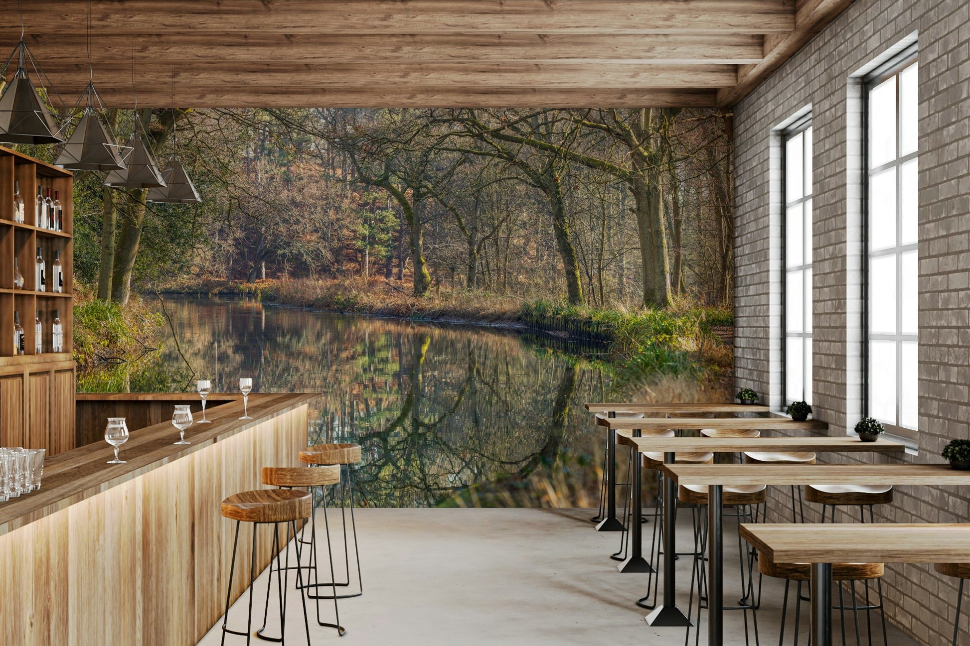 artistic reflective forest scene

