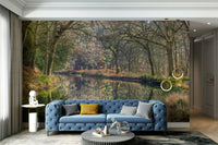 peaceful woodland scene with a reflection

