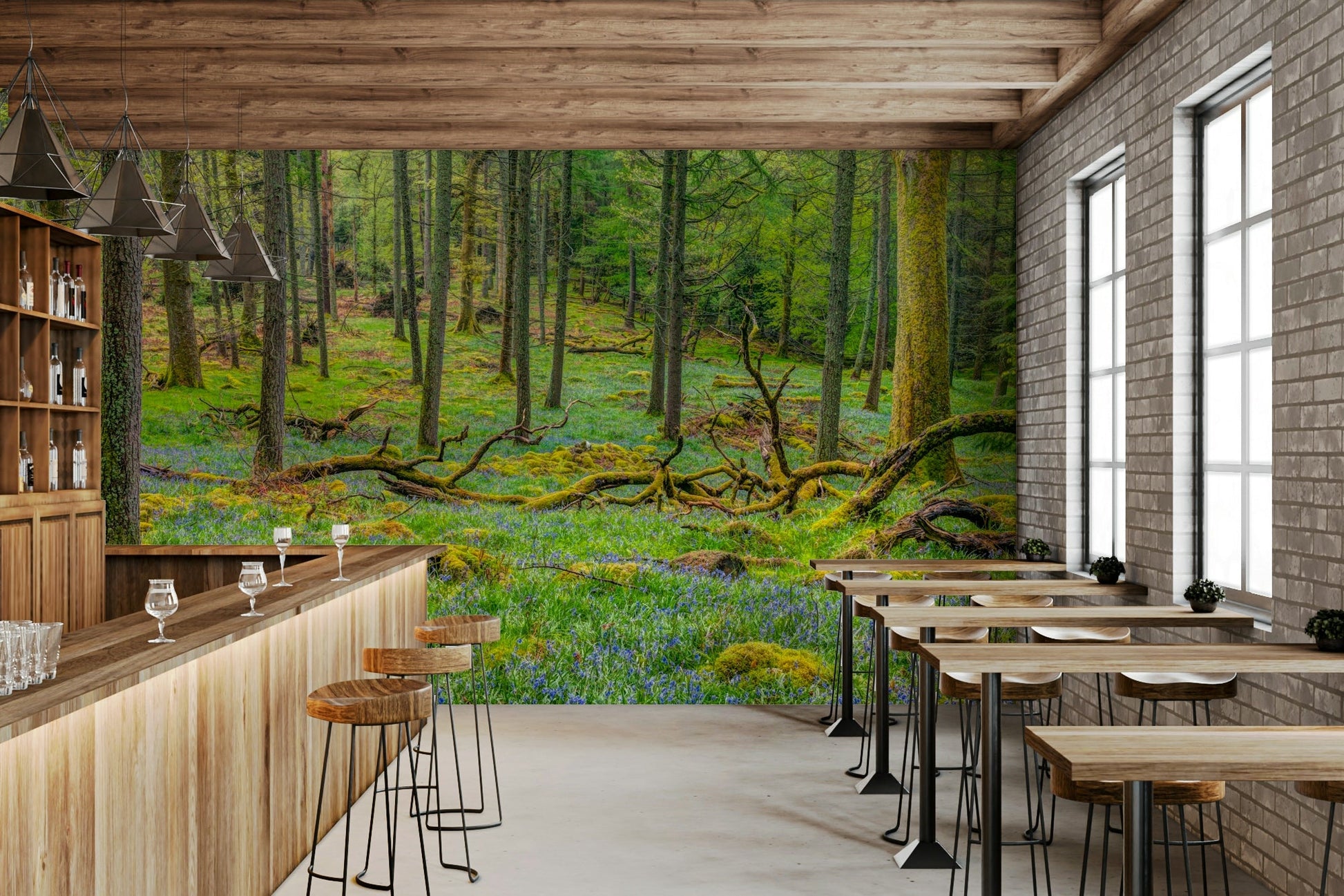 Tranquil forest scene.

