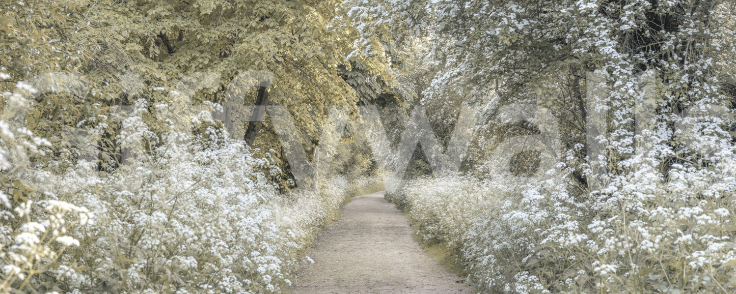 Wall mural featuring forest and wildflower border

