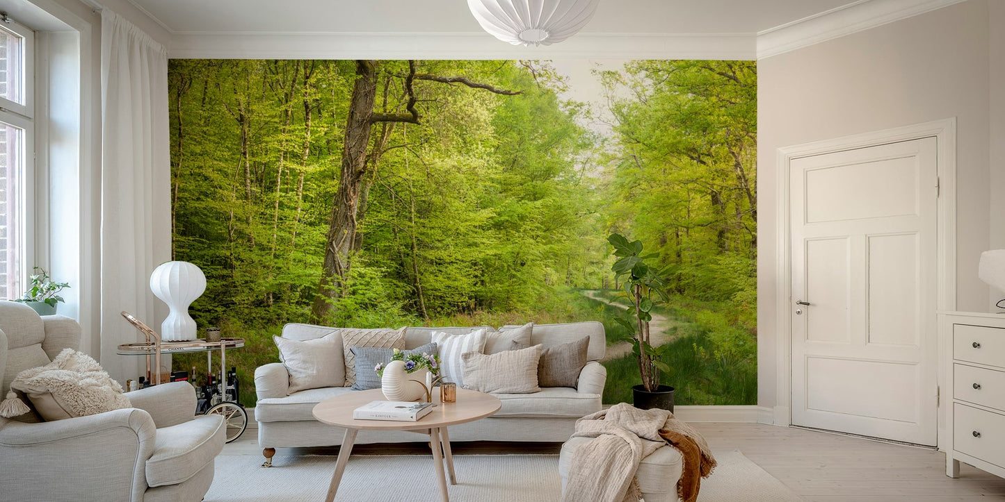 Peaceful woodland scenery wallpaper


