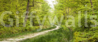 Autumn woodland wallpaper design

