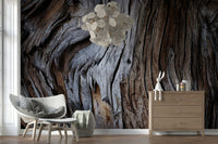 Worn Timber Wall Mural adding natural texture, warmth, and timeless charm to any interior space.