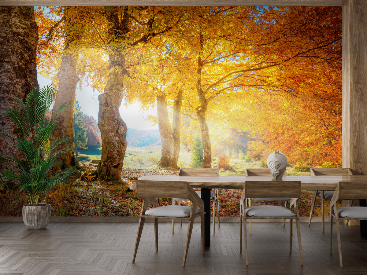 Yellow Autumn Leaves Forest wallpaper mural shown as a full feature wall that highlights the design