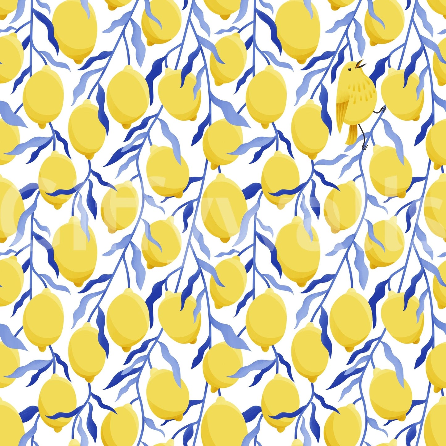 Colorful bird and fruit mural wallpaper

