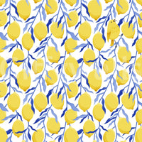 Colorful bird and fruit mural wallpaper


